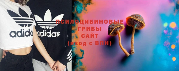 мескалин Арсеньев