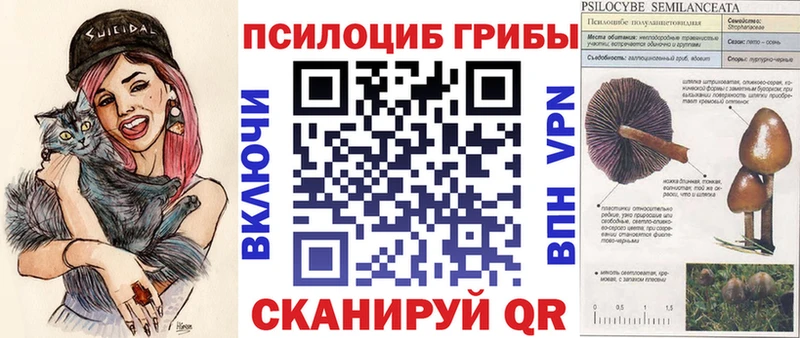 Псилоцибиновые грибы мухоморы  shop какой сайт  Печора  кракен как зайти 